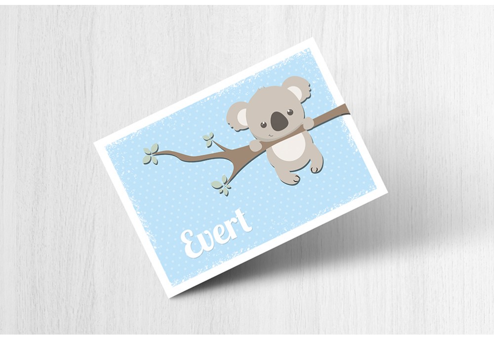 Lieve koalabeer
